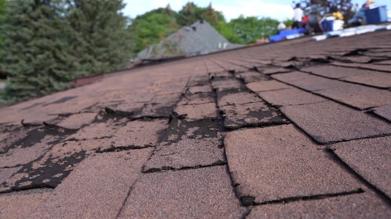 Best Roofing for New Construction  in Walton Hills, OH